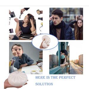 Char Siu Bun squishy toy - stress relief